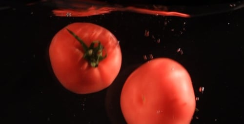 Fresh Red Tomatoes Plunge into Clear Water