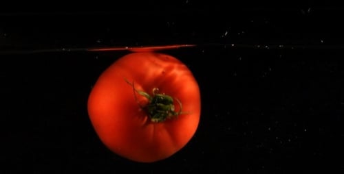 Close Up Of A Tomato In Water