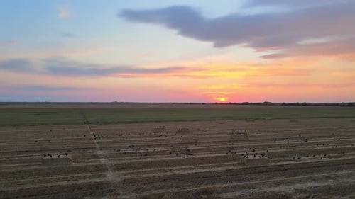Straw Bales In The Sunset