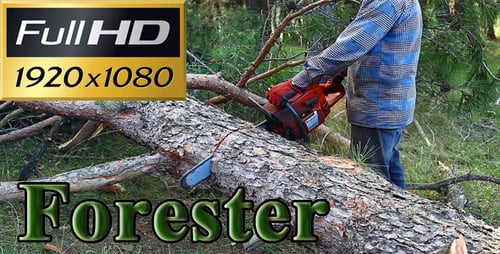 Forester Cutting A Tree