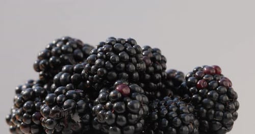 Blackberry Cluster Macro Food Close-Up