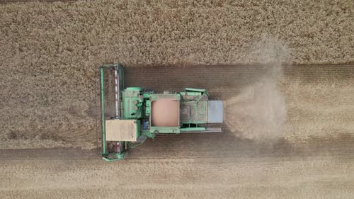 Aerial View of Harvester Machines Working in Wheat Field