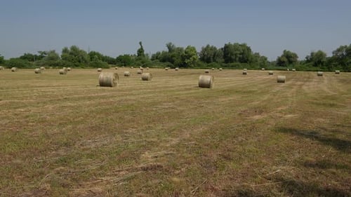Straw Bales 20