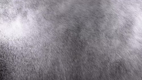 Wasserspray vor schwarzem Hintergrund. Mikro-Wassertropfen fliegen in der Luft. Zeitlupe