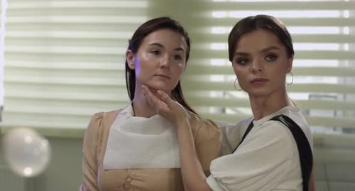 Makeup Artist Applying Cosmetics to a Woman
