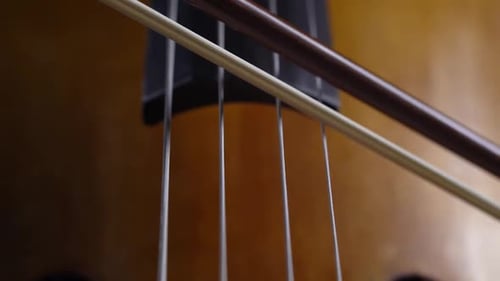 Close Up Playing the Cello