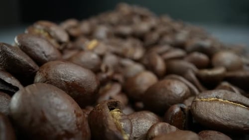 Macro Footage of Roasted Coffee Beans