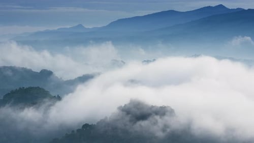 Aerial view Beautiful of morning scenery Golden light sunrise.