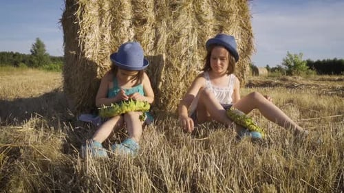 Two Charming Girls Are Eating Sunflower Seeds on Mown Rye in the Field