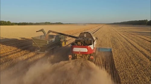 Combine Harvesting Wheat