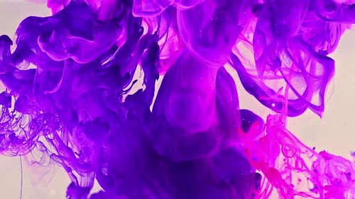 Purple and Pink Ink Swirling Abstractly