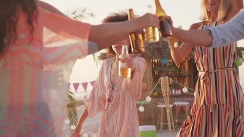 Friends enjoying a party on the beach