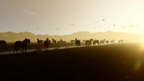 Caballos salvajes