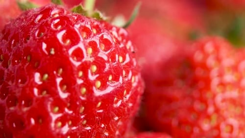 Erdbeere