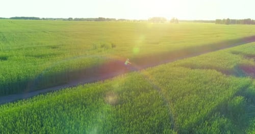 Aerial View on Young Boy, That Rides a Bicycle Thru a Wheat Grass Field on the Old Rural Road