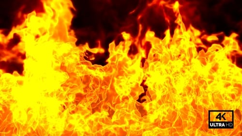 The Biggest Fire Flame Close Up View