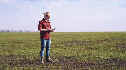 Farmer Using Tablet Inspecting Crops in Field