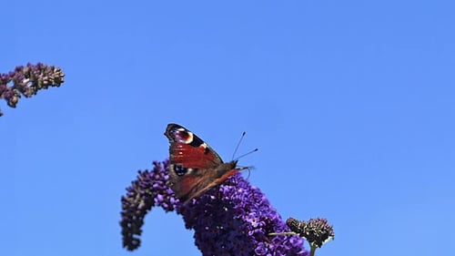 700304