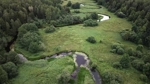 Winding River Ovsyanka 04
