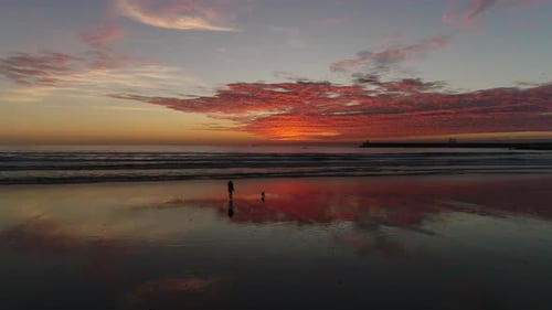 Girl Walking with Dog on The Beach at Amazing Skyline