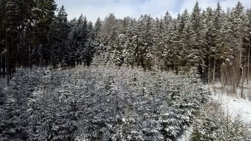 aerial winter landscape