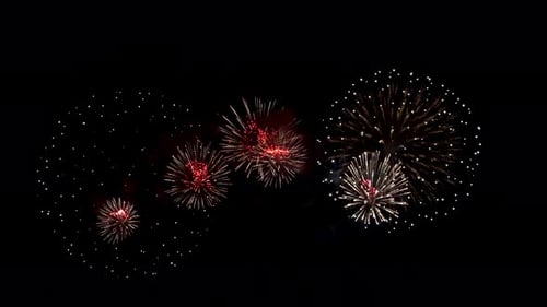 Grand Fireworks Exploding in the Night Sky