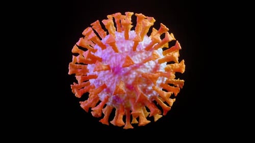 3D Rotating Coronavirus Cell Loop on Black Background