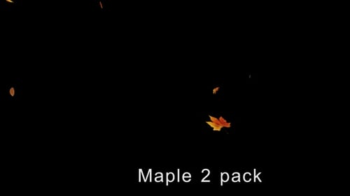 Falling Maple Leaves Natural Overlay Animation
