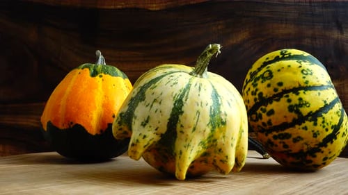Assorted Gourds Still Life Food and Beverage