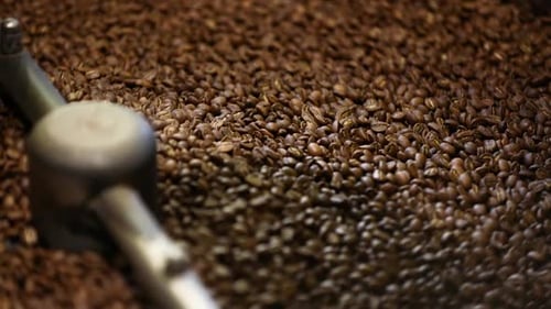 Coffee Beans Stirring in Roasting Machine