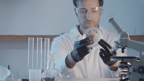 A Researcher in Protective Rubber Gloves and a Gown Examines a Part of a Plant in a Petri Dish