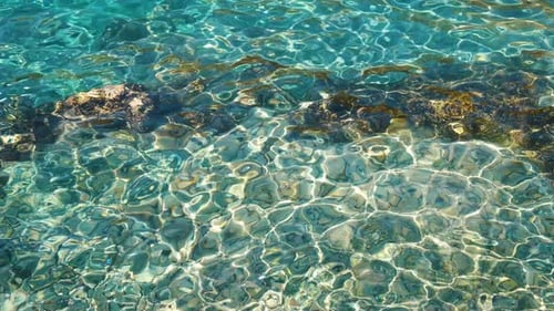 Sea