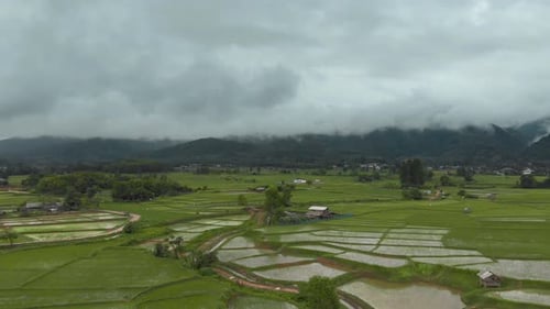 Aerial rain with drops above rice fields and mountains with clouds background