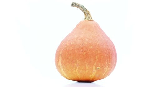 Rotating Pear-Shaped Pumpkin on a White Background