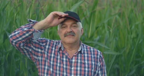 Smiling Farmer Standing in Vibrant Cornfield
