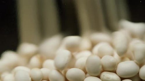 Closeup of Falling Down White Beans Into Glass Jar on Black Background