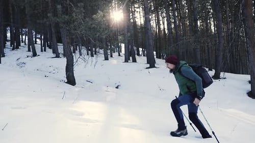 Man Hiker Walking in Mountain Forest Slow Motion
