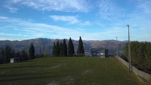 Arbres de montagne