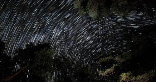 Star Trails im Nachthimmel