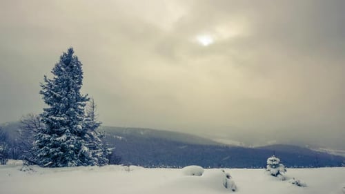 Ein starker Winterschneesturm