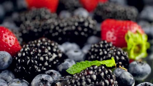 Fresh Berries with Mint Leaves, Close Up Dolly Shot