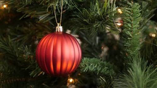 Shiny Red Bauble on Christmas Tree