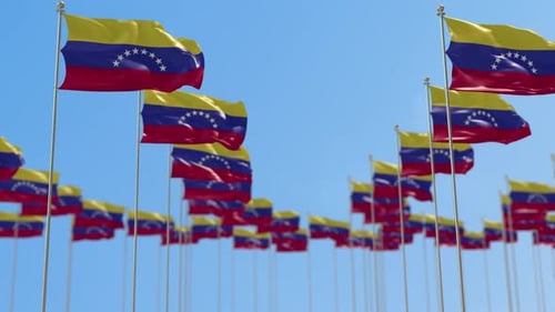 Realistic Venezuelan Flags Waving in a Clear Blue Sky