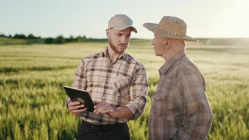 Farmers Discussing Data in a Field