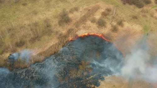 Aerial View Spring Dry Grass Burns During Drought Hot Weather