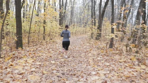 Young fit woman running in autumn forest training for the marathon. Run and sport concept