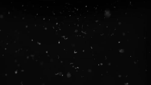Abstract Black Background with Floating White Particles