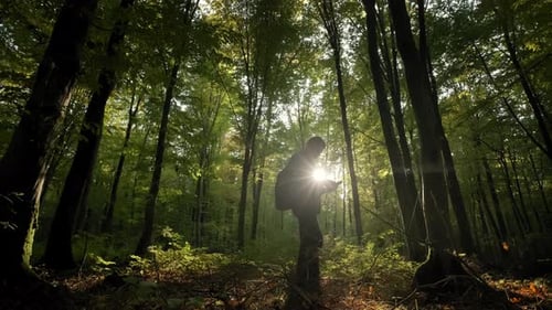 Man with Backpack Walking Through Tall Trees in Forest