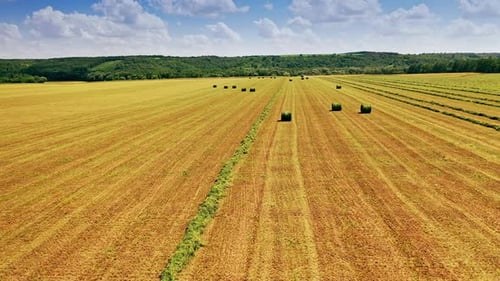 Flying over the field with many green bales on natural background