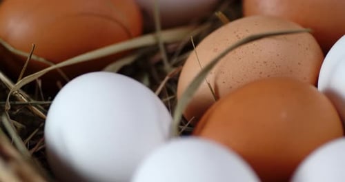 Raw Eggs in Straw Slowly Rotate.